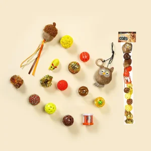 Kattenspeelset Speelgoed Bal Huisdier Geschenkpakket Interactief Beste Kat Kitten Speelgoed