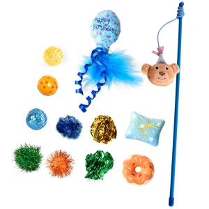 Verjaardag Cat Toy Gift Set 12 Stuk Value Pack Huisdier Vakantie kattenspeelgoed