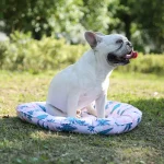 ベスト・ドッグ・クール・ペットベッド