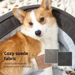 Best Orthopedic Large Dog Beds