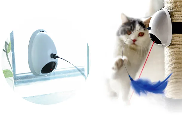 Giocattoli laser per gatti-2