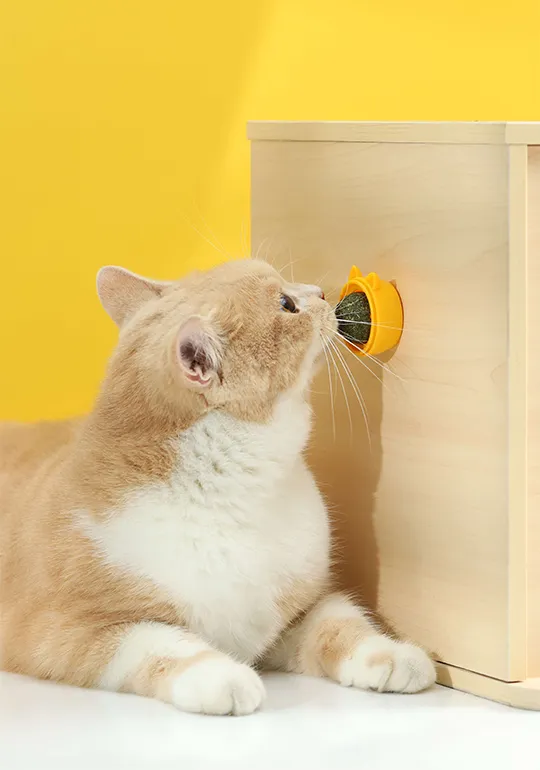 キャットニップ・キャット・トイ