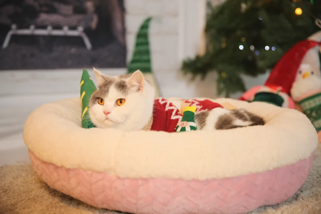 Productos navideños para gatos-02