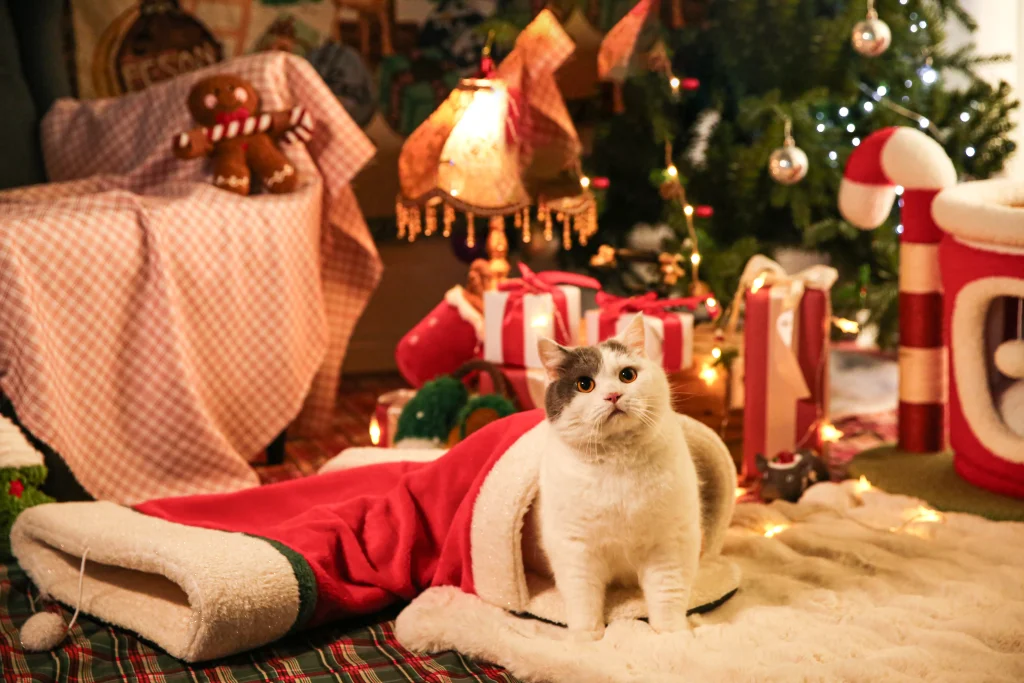 Túnel navideño para gatos