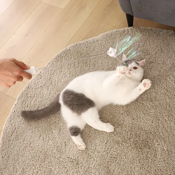 Interactief kattenspeelgoed