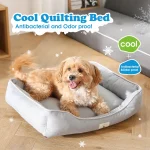 Haustier-Kühlbetten Katze