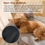 Die besten nachhaltigen Hundebetten