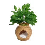 최고의 등나무 고양이 콘도