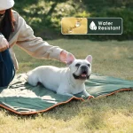 Лучшая лежанка для домашних животных