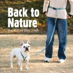 개 목줄 칼라 세트