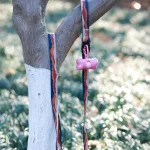 공장 개 목줄 칼라 세트