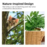 공장 등나무 고양이 콘도