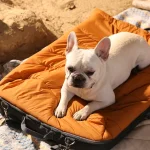 Opvouwbaar Reis Hondenbed