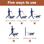 도매 개 목줄 칼라 세트