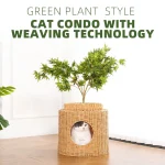 도매 등나무 고양이 콘도