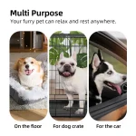 Meilleur coussin pour grand chien Top