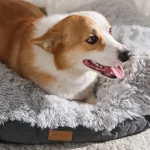 Coussin personnalisé pour gros chien Hot