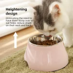 Supplier Raised Pet Bowl