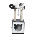 black cat condo company