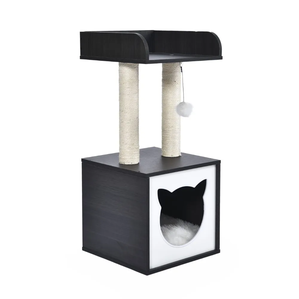 검은 고양이 콘도