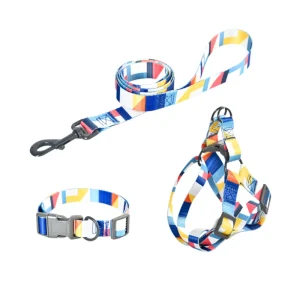 hondenhalsband harnas riem set