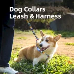 ошейник для собак шлейка поводок комплект завод