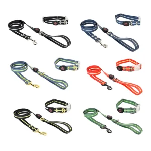 hondenhalsband leidsets