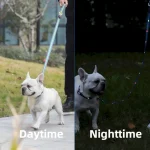 ошейник для собак свинцовые наборы компания