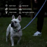 ошейник для собак свинцовые наборы производство