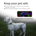 ошейник для собак свинцовые наборы оптом