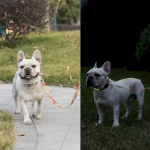 ошейник для собак поводок комплект оптом