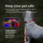 собака ошейник поводок набор завод