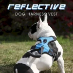 собачья упряжь жилет завод