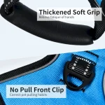 производство жилетов для собачьей шлейки