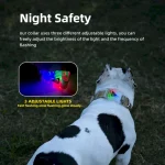 LED 개 목걸이 공장