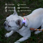 LED 개 목걸이 제조