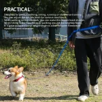 ポリ塩化ビニール犬の鎖卸売