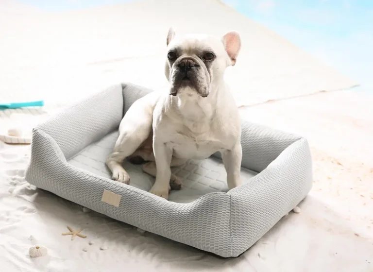 Cama refrigerante para mascotas