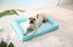 冷却ペット・ベッド