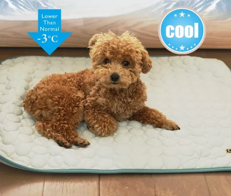 Manta refrigerante para perros