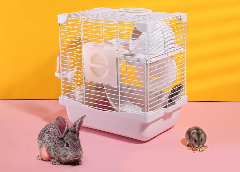 Hamsterkooien