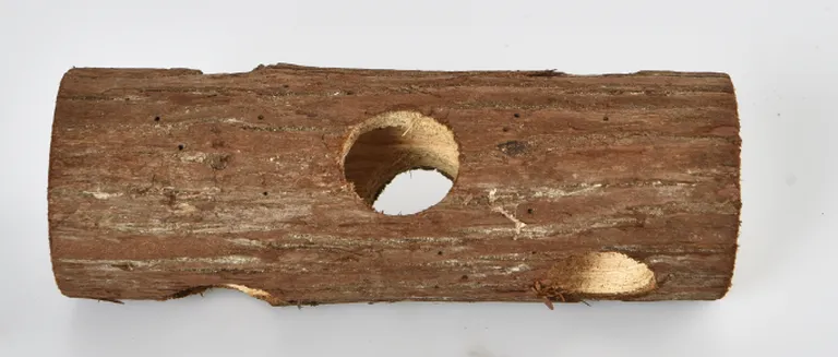 Hamster Natuurlijk hout