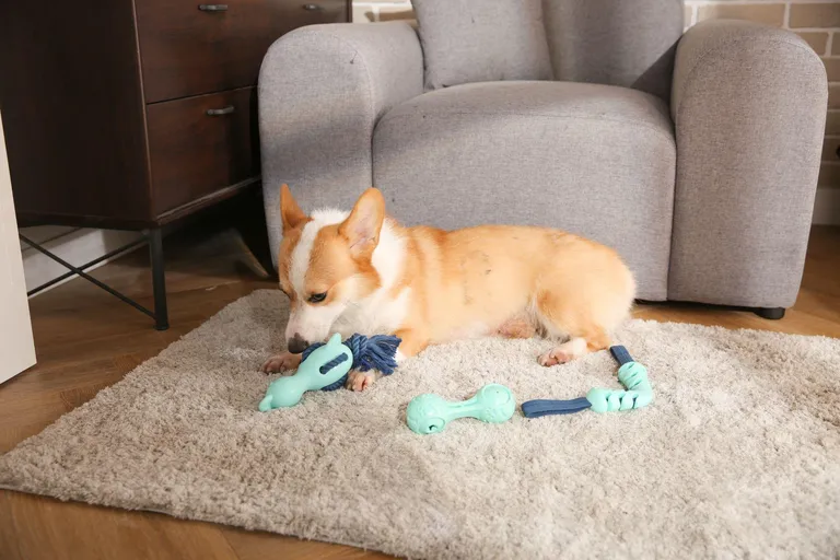 Multimaterial-Zerrspielzeug