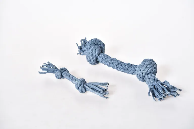 Tau-Zerrspielzeug für Hunde