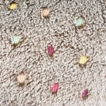 작은 동물 교수형 침대 공급 업체