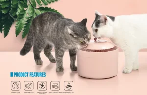 Wie funktionieren Wasserbrunnen für Haustiere?