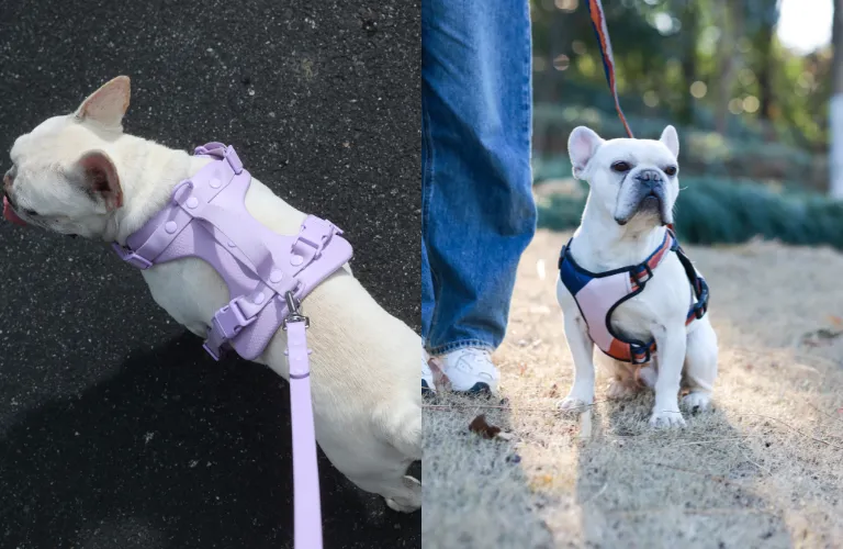 dog harness materials