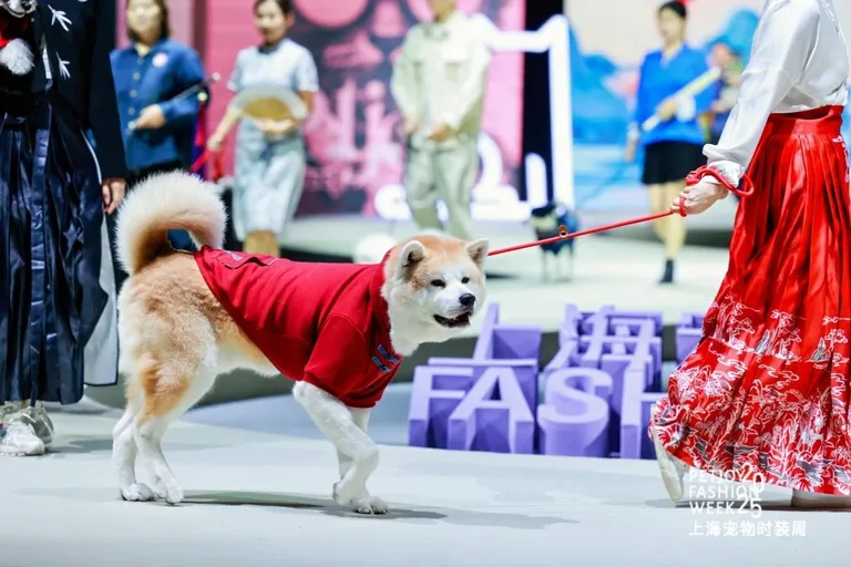 On-site at Shanghai Pet Fashion Week, October 2024