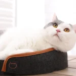 段ボール製キャットベッド