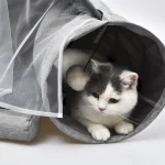 tunnel per letti per gatti all'ingrosso